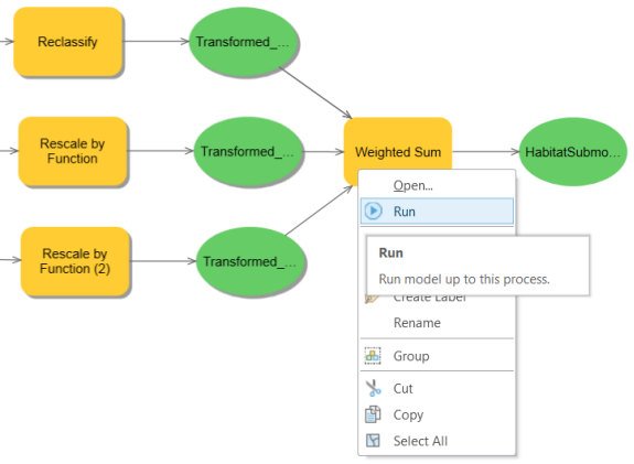 Running the Weighted Sum tool within the model