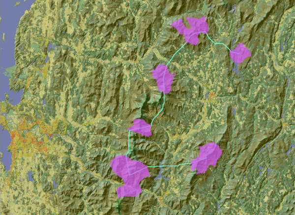 Six bobcat habitat patches connected with the optimum network of wildlife corridors