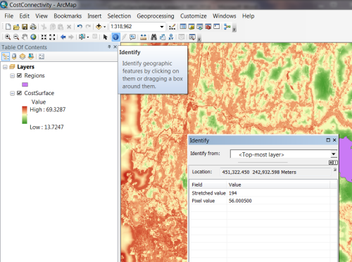 CostSurface layer