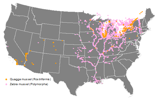 Map showing locations of zebra and quagga mussels