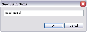 New Field Name dialog box