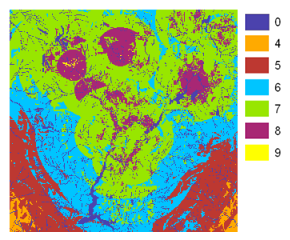 Mapa de áreas adecuadas