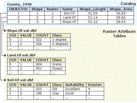 Catálogo de ráster heterogéneo con tablas de atributos de ráster