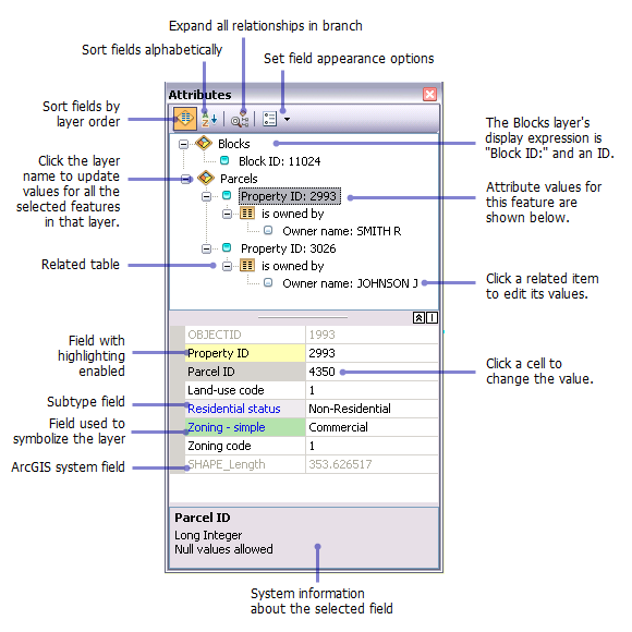 La ventana Atributos muestra las entidades con una expresión de visualización e información tabular relacionada