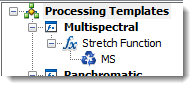 Plantilla de procesamiento Multiespectral