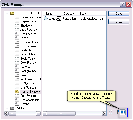 Utilice la Vista de informe del cuadro de diálogo Administrador de estilos para especificar la categoría y las etiquetas junto con el nombre del símbolo.