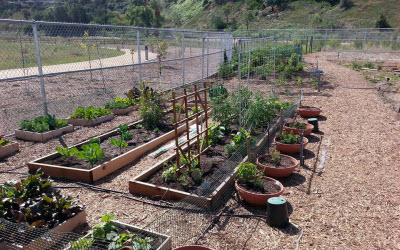 Lecciones de Asignación del jardín público