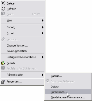 Permisos en el menú contextual de la geodatabase