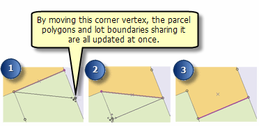 Ejemplo de edición de geometría compartida