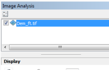 Elija el DEM en la ventana Análisis de imagen.
