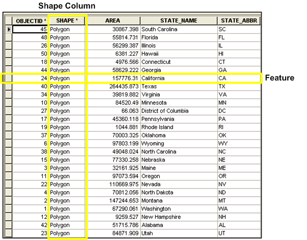 Tabla de clase de entidad que muestra la columna de forma