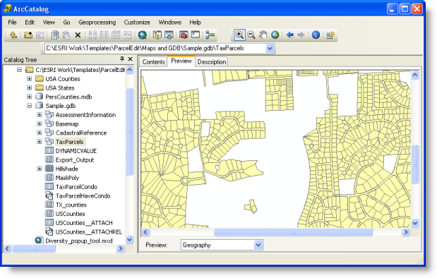 Vista previa de geografía de un dataset desde la geodatabase