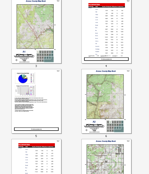 Ejemplo de páginas de informe de un libro de mapas