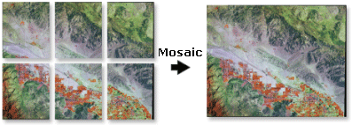 Ilustración de Mosaico