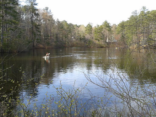 Near Roswell, Georgia