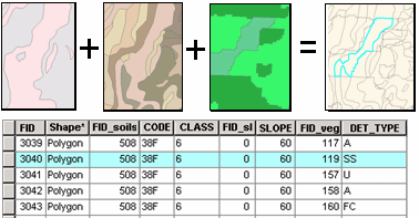 Superposition de jeux de données de polygone pour créer des polygones avec beaucoup d'attributs