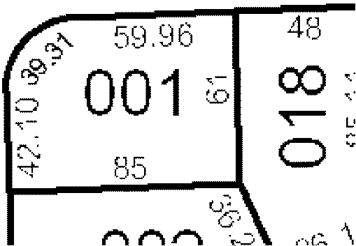 Section de l'image raster à vectoriser