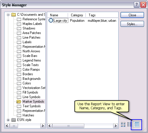 Utilisez la vue Rapport de la boîte de dialogue Gestionnaire de styles pour spécifier une catégorie et des balises avec le nom de symbole.