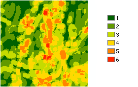 Effectuez un zoom pour voir les voisinages avec davantage de détails.