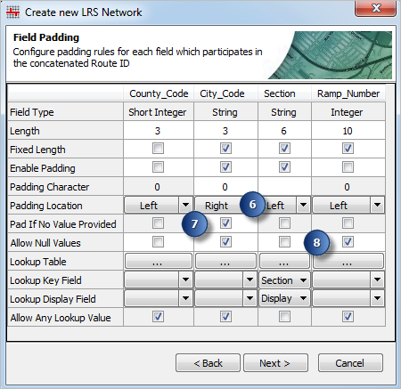 Configuring padding, null, and lookup table settings—ArcMap
