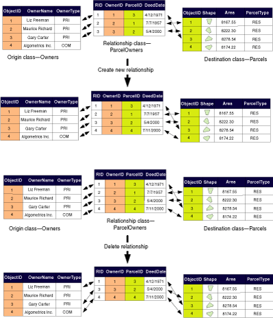 Création ou suppression de relations (M-N ou attribuées)