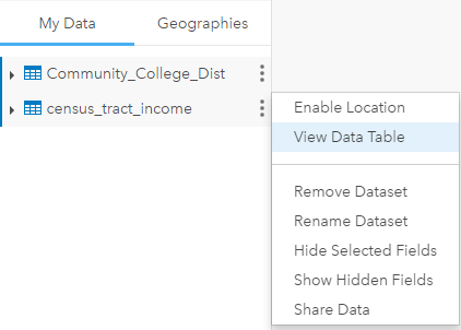 Opening the Data Table