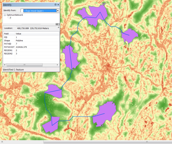 OptimumNetwork displayed with the Regions on top of the cost surface