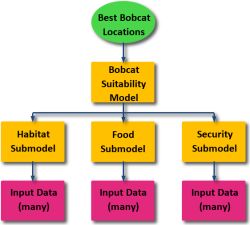 Submodels for the bobcat ModelBuilder model