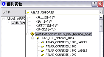 [レイヤー] リストにサブレイヤーが表示されているため、個別属性の表示をサポートする WMS サービス レイヤー