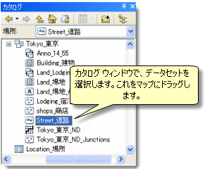 [カタログ] ウィンドウからのデータセットの追加