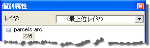 [個別属性] での表示式の例