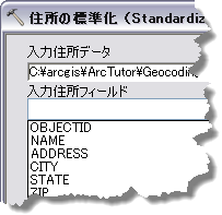 住所の標準化 (Standardize Addresses) (入力住所フィールド)