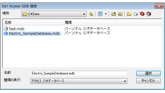 目的の Esri Access ジオデータベースの選択