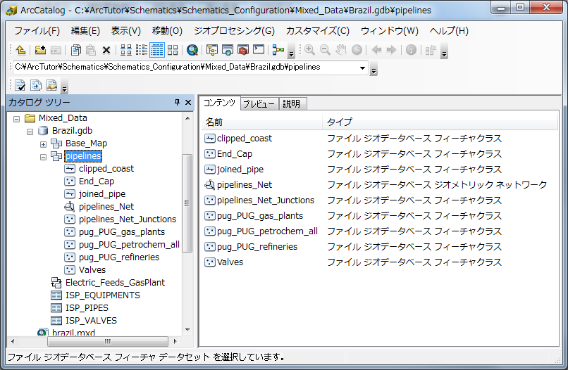 pipelines フィーチャ データセットの確認