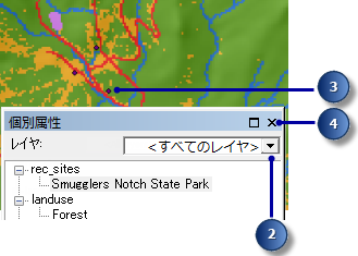 [個別属性表示] ツールの使用