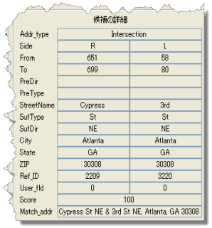 候補の詳細パネル