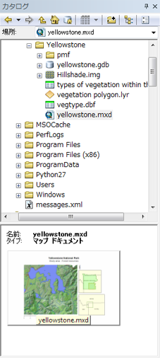 マップ ドキュメントのサムネイルを表示します。