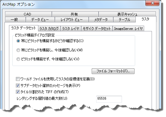 ラスター データセットのオプション