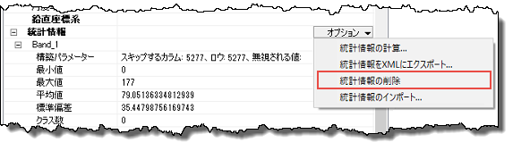 統計情報オプション