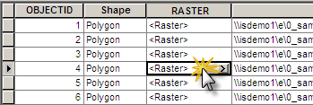 [RASTER] 列