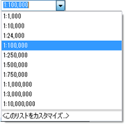 ドロップダウン リストから縮尺を選択します。縮尺を指定すると、マップはその縮尺で表示されます。