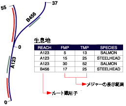 一連のライン フィーチャに沿って一定の間隔で作成されたライン イベント