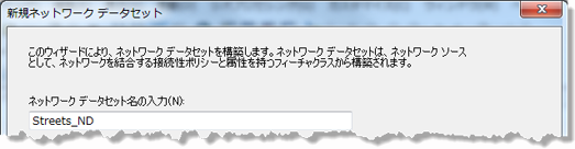 ネットワーク データセットの名前を入力