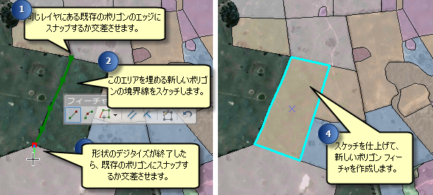 [自動完成ポリゴン] ツールを使用してスケッチすることによって、隣接するポリゴンを作成します。