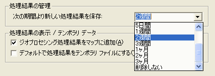 [次の期間より新しい処理結果を保存] オプション