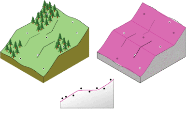 Local Polynomial interpolation