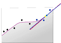 First-order polynomial