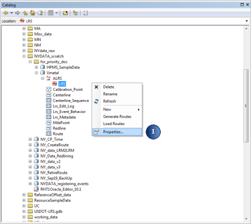 Configuring route dominance