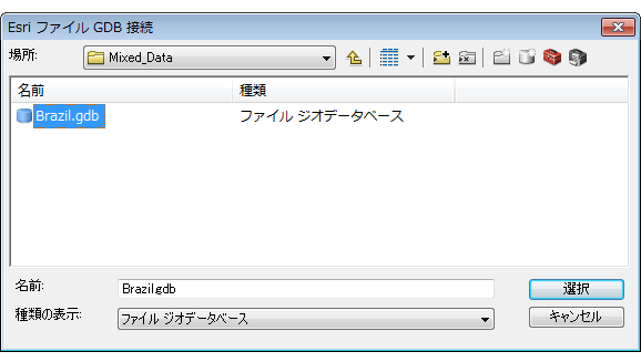目的の Esri ファイル ジオデータベースの選択