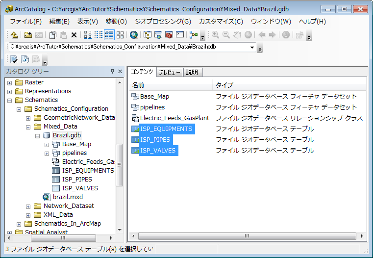 Brazil ファイル GDB の確認